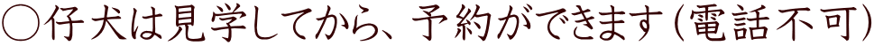 ○仔犬は見学してから、予約ができます（電話不可）