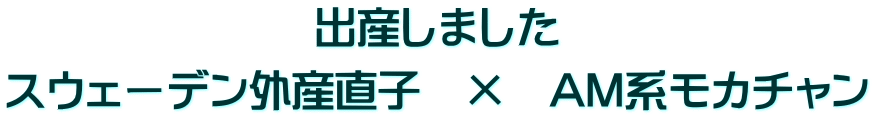 出産しました スウェーデン外産直子　×　AM系モカチャン